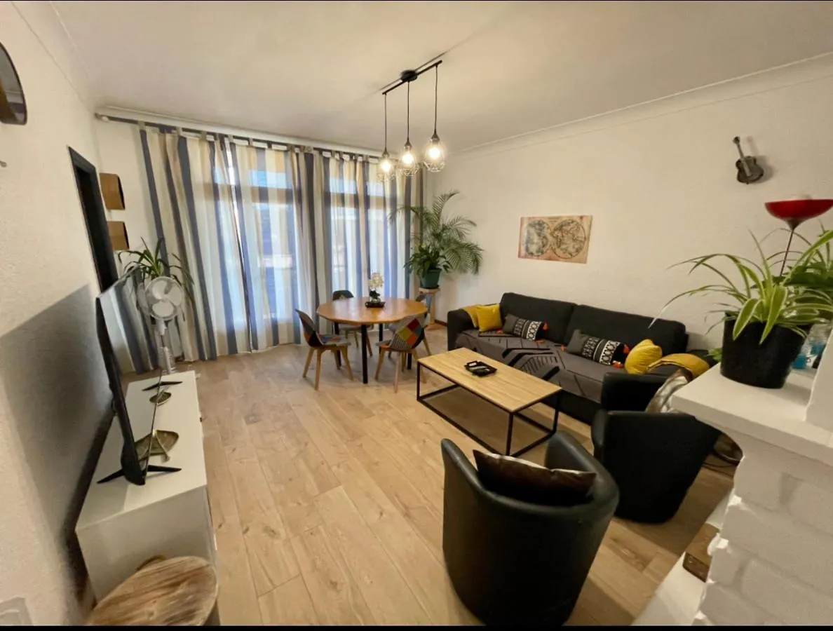 Très grand appartement à 10 min à pied du centre Castres